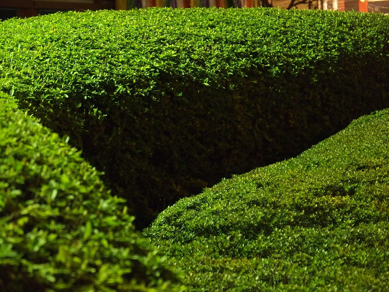 TurboCut Pro: il decespugliatore che rivoluziona la manutenzione del giardino [Aggiornato]